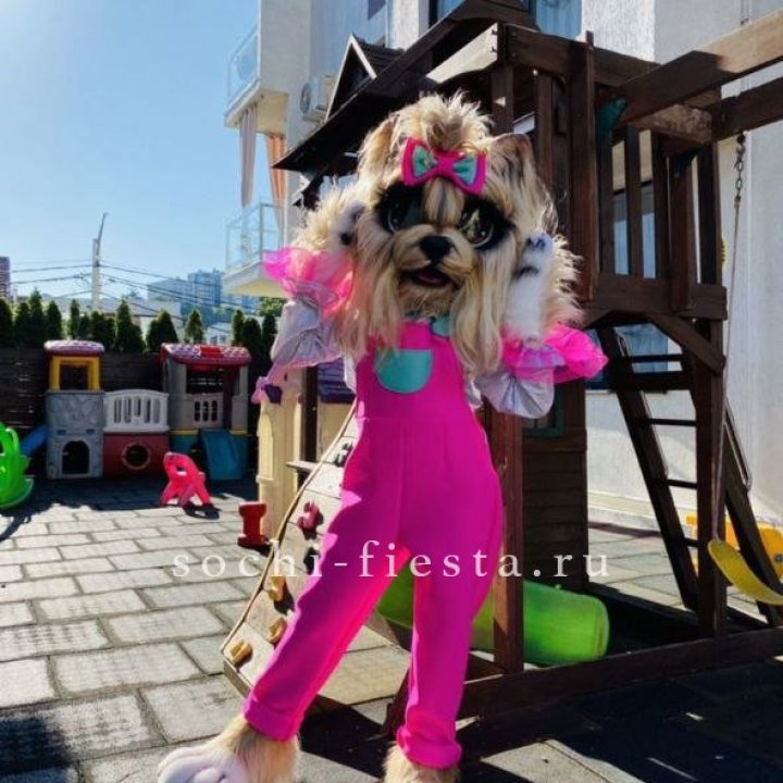 Аниматор Гламурная Собака в Старом Осколе