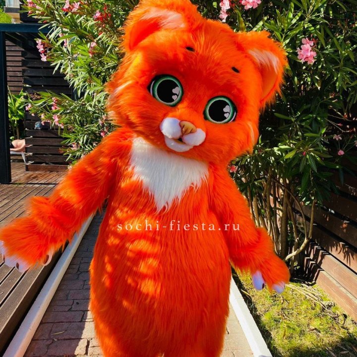 Аниматор Котик в Старом Осколе