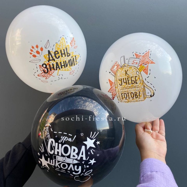 Воздушный шар к 1 сентября в Старом Осколе