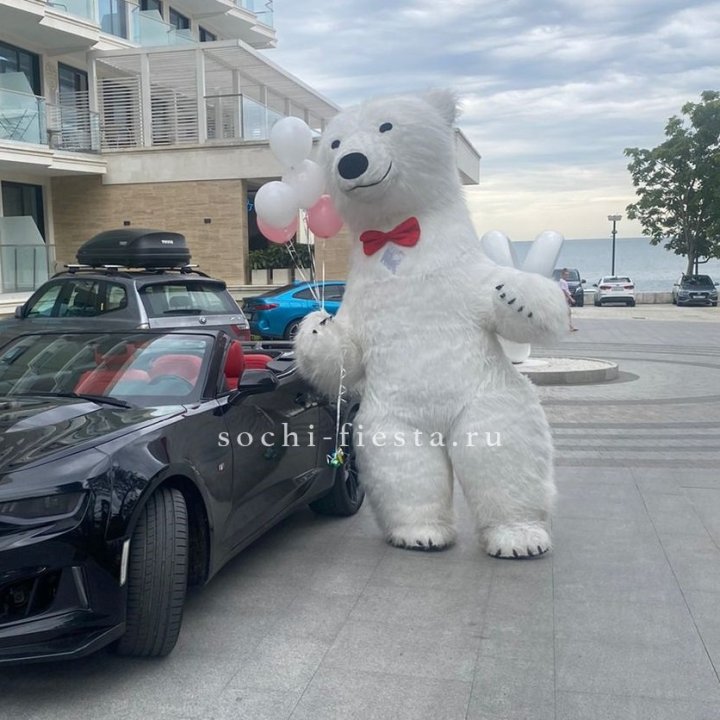 Аниматор Белый Медведь в Старом Осколе