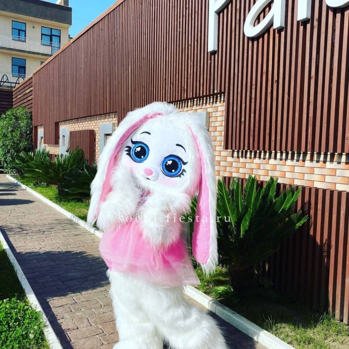 Аниматор Зайка в Старом Осколе