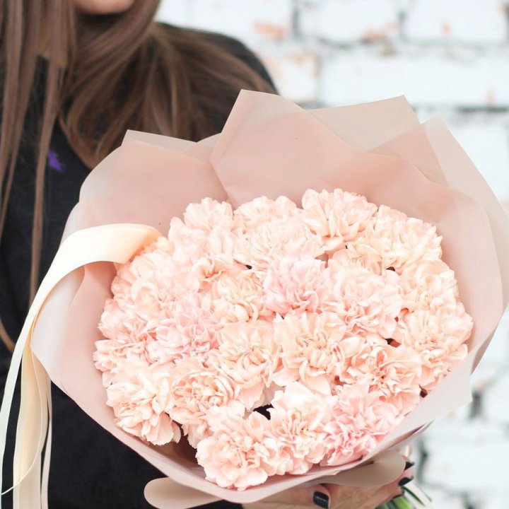 Диантусы №2 в Старом Осколе