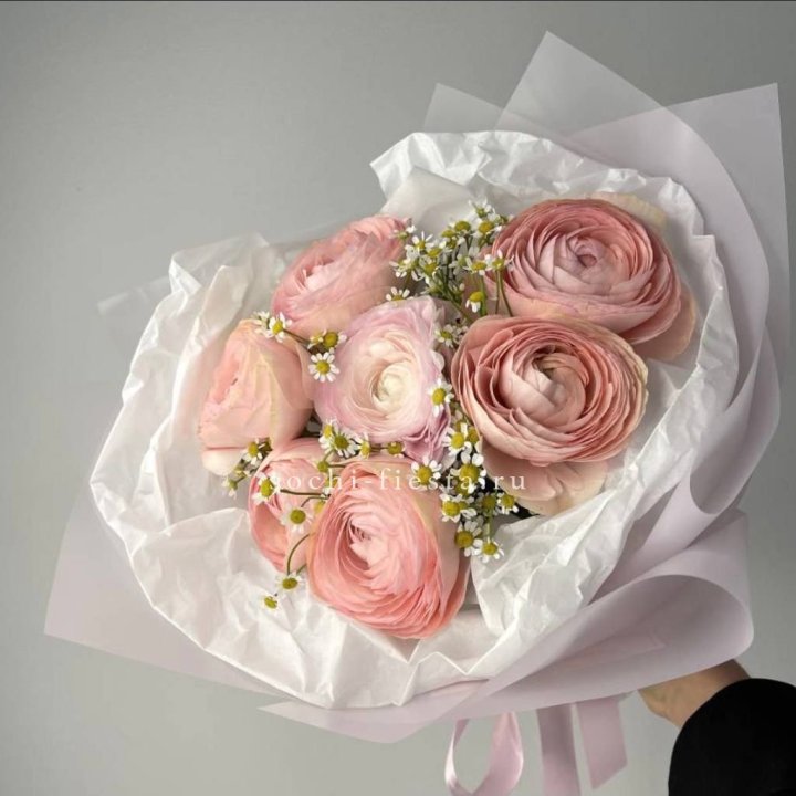 Ранункулюсы с ромашками в Старом Осколе