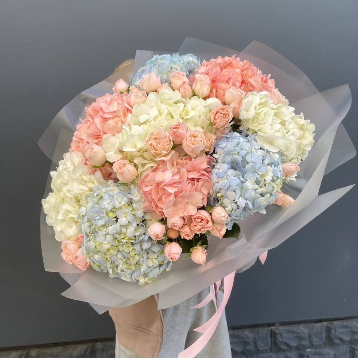 Дуо гортензии и бомбастик в Старом Осколе