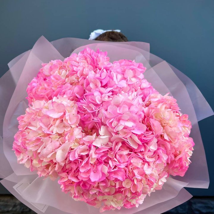 9 ярко розовых гортензий в Старом Осколе