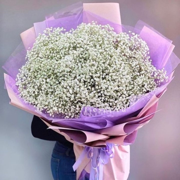 Облако белых гипсофил в Старом Осколе