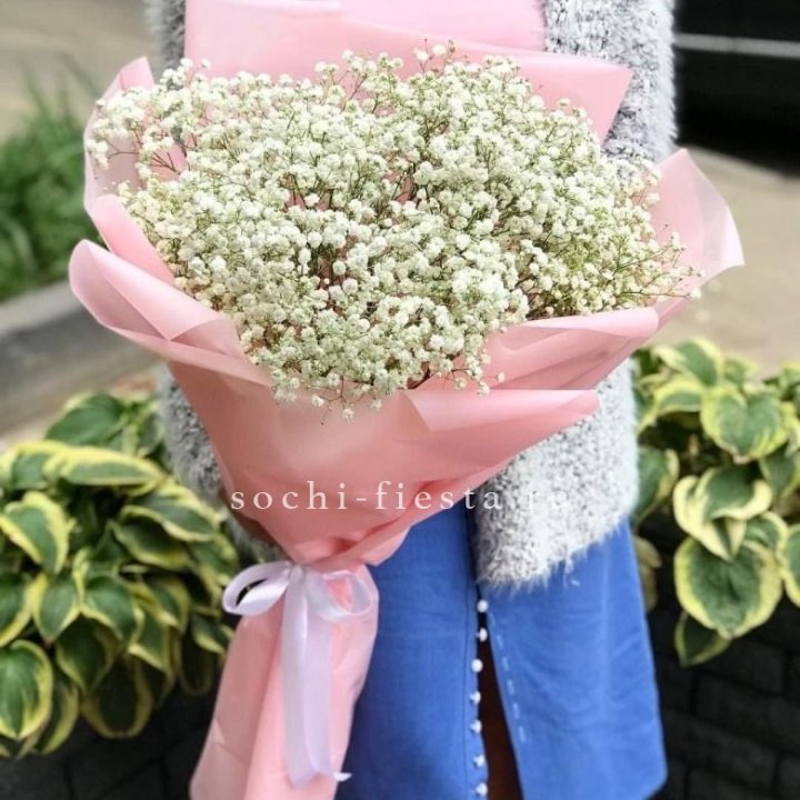 Белоснежные гипсофилы в Старом Осколе