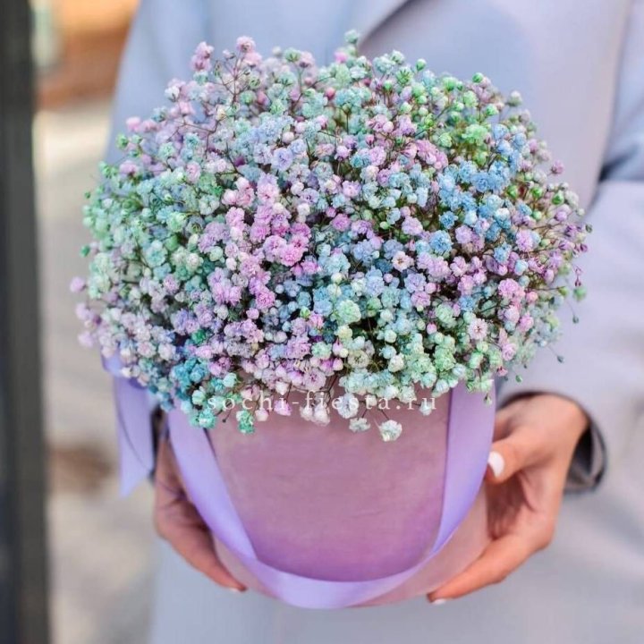 Гипсофилы в шляпной коробке "Кандилайт" в Старом Осколе