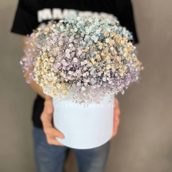 9 Радужных гипсофил в шляпной коробке в Старом Осколе