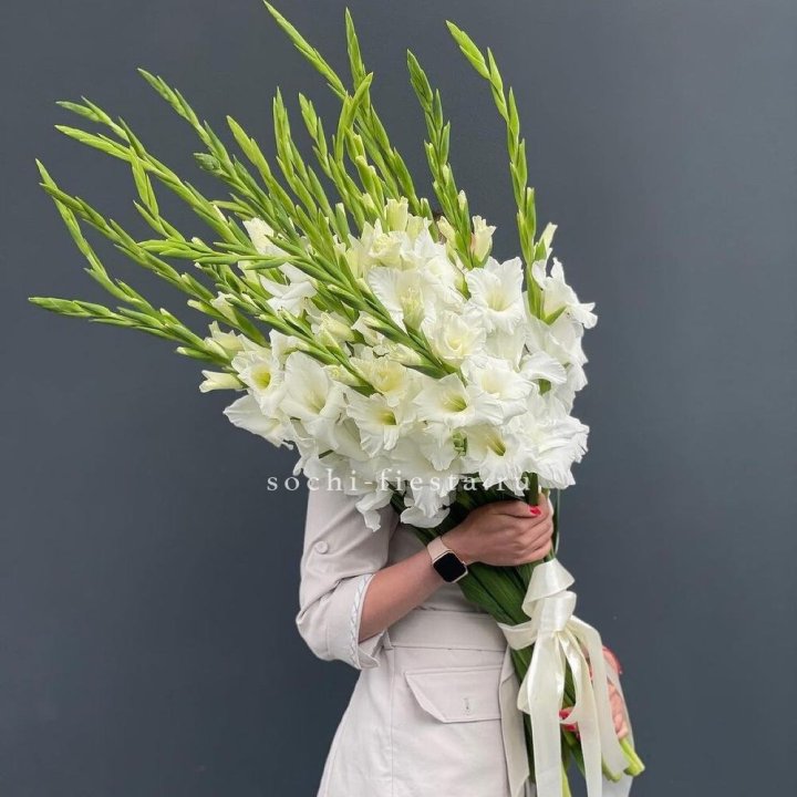 19 белых гладиолусов под ленту в Старом Осколе