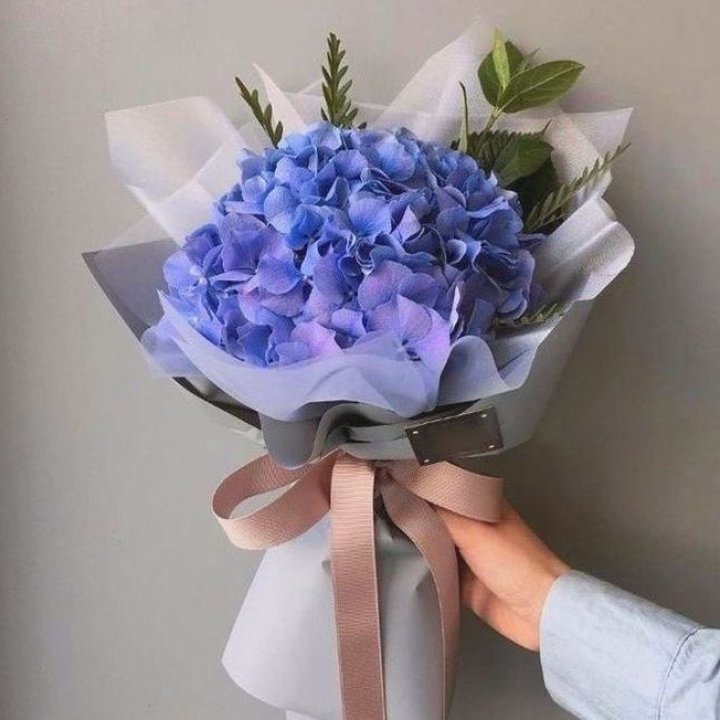 Гортензия голубая в Старом Осколе