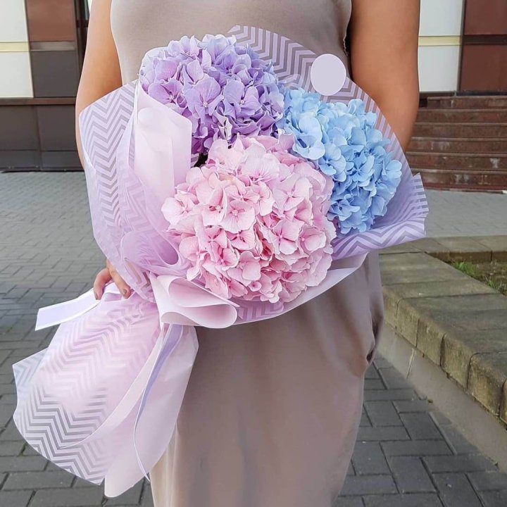 Букет гортензий "Пуф" в Старом Осколе