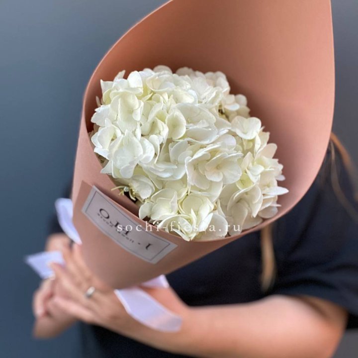 Гортензия в конверте в Старом Осколе