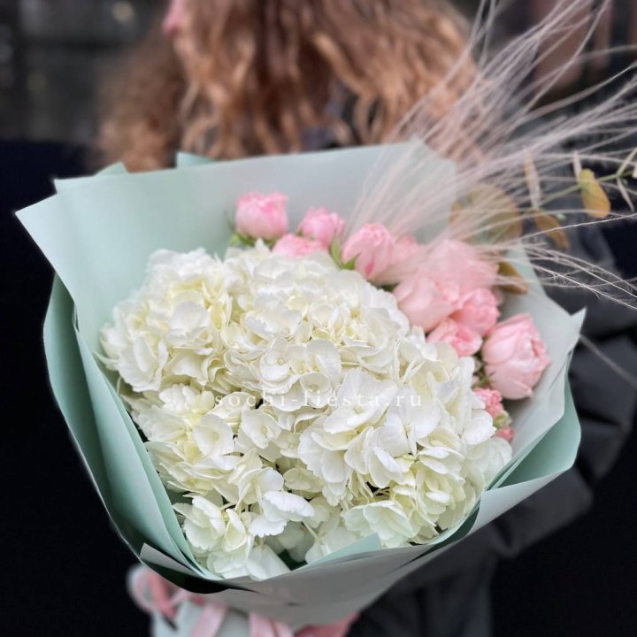 Гортензия "Жасмин" в Старом Осколе