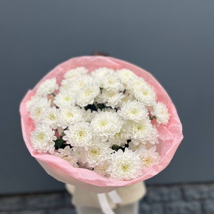  5 хризантем  с доставкой в Старом Осколе