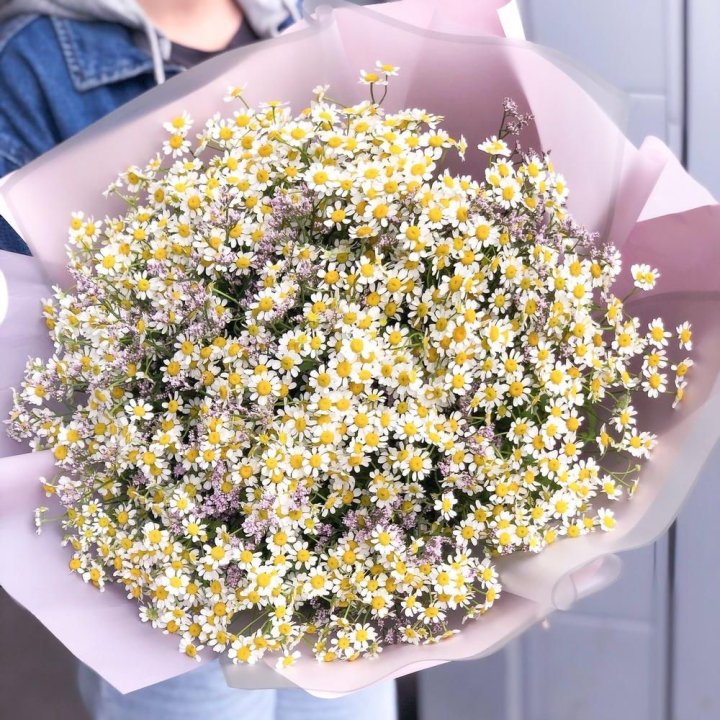Букет ромашек №1 в Старом Осколе