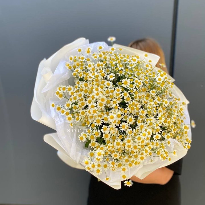 Букет ромашек "Фемели" в Старом Осколе
