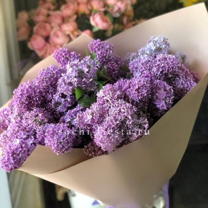 Букет сирени №2 в Старом Осколе