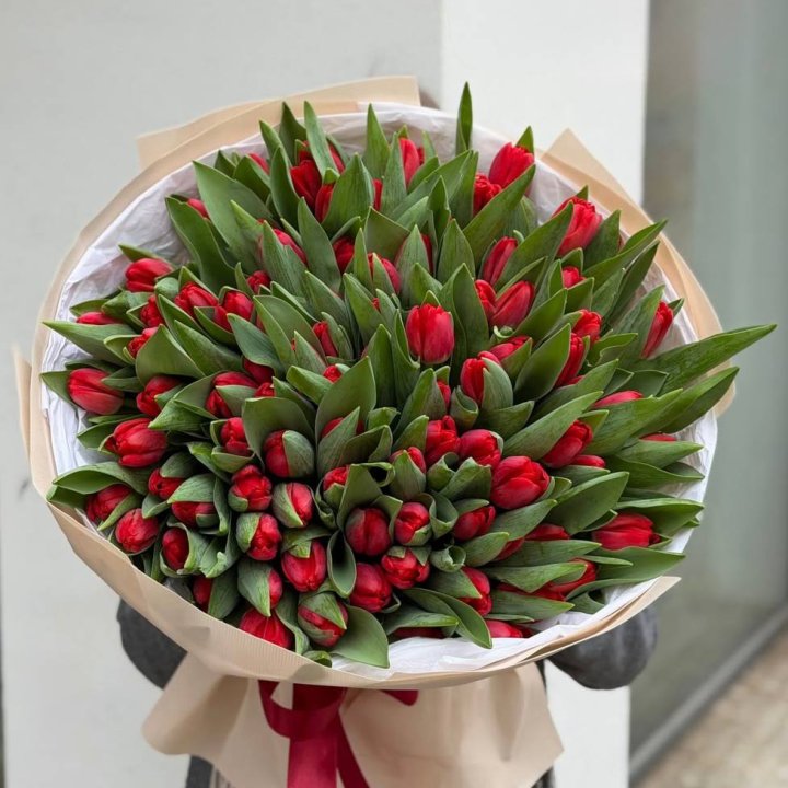 101 красный тюльпан в Старом Осколе