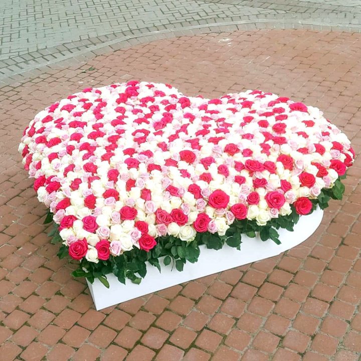 555 роза  в Старом Осколе