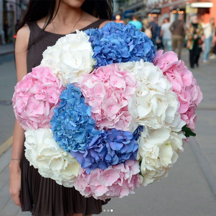 Букет гортензий "Инь-Янь" в Старом Осколе