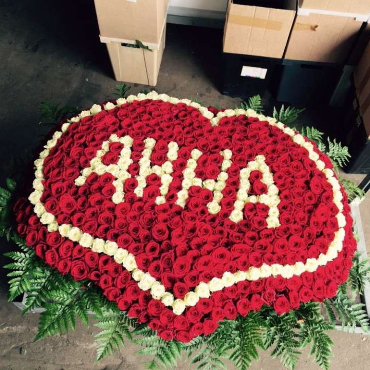 555 роз с именем в Старом Осколе