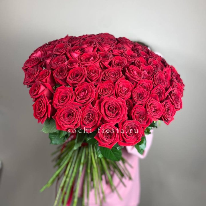 101  голландская роза  в Старом Осколе