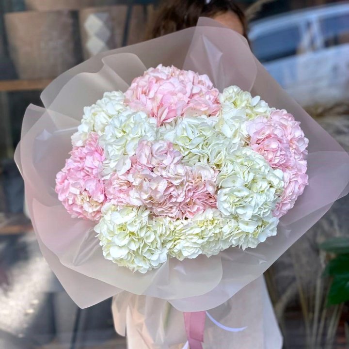 Букет гортензий № 3 с доставкой в Старом Осколе