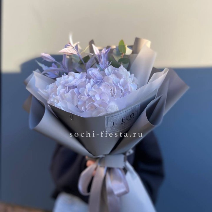 Гортензия "Виолета" в Старом Осколе
