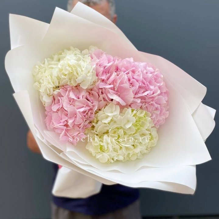 Букет гортензий №5 в Старом Осколе