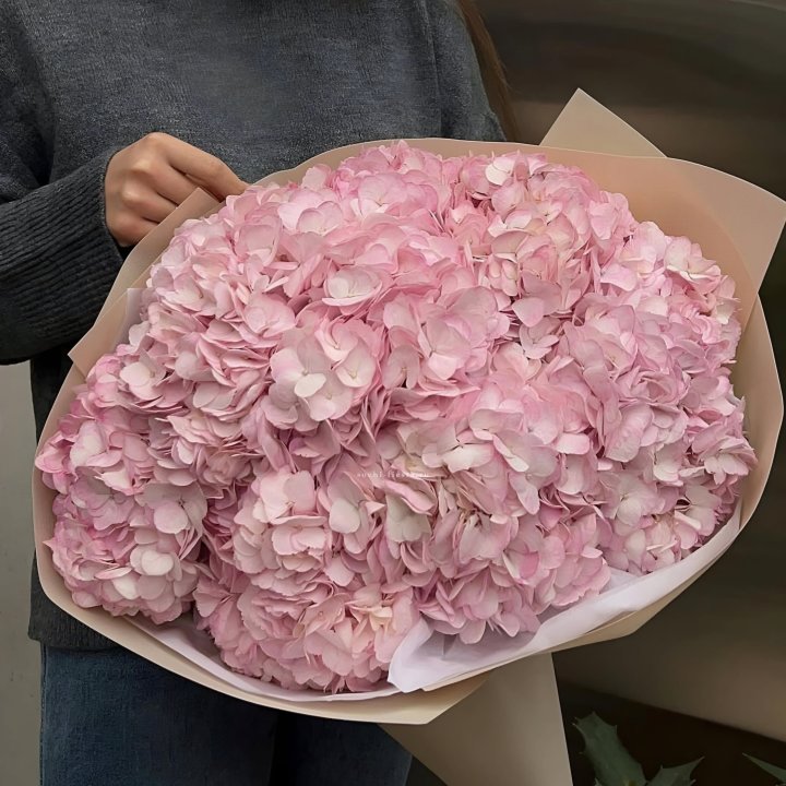 Гортензия  "РОЗЕ" в Старом Осколе