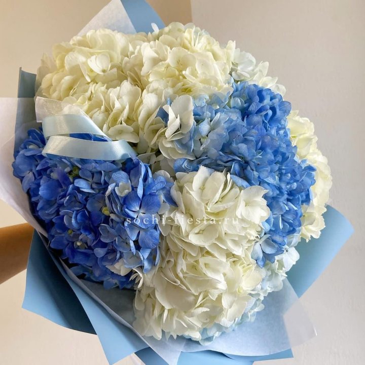 Букет гортензий "Голубая лаза" в Старом Осколе