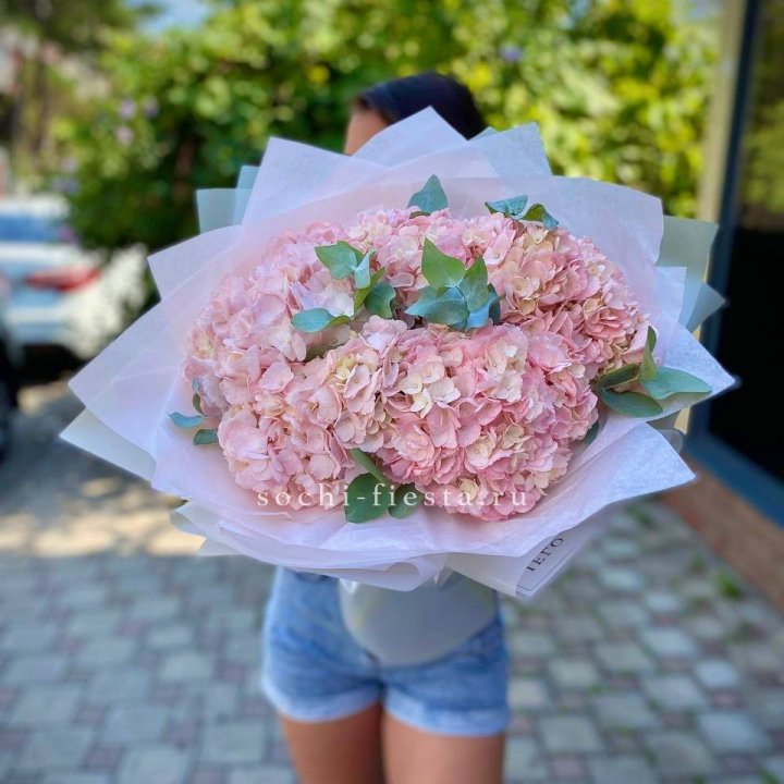 5 розовых гортензий  в Старом Осколе
