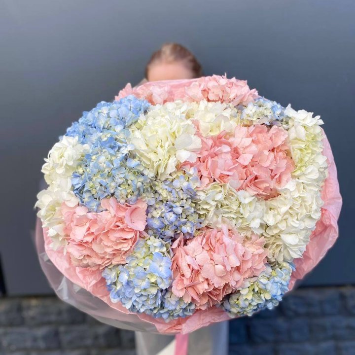 19 гортензий микс в Старом Осколе