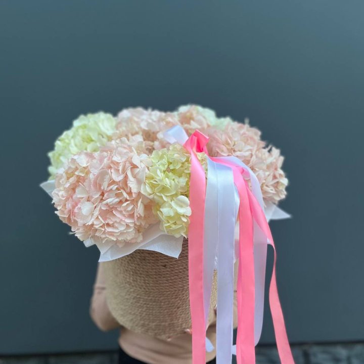 7 гортензий в кашпо в Старом Осколе