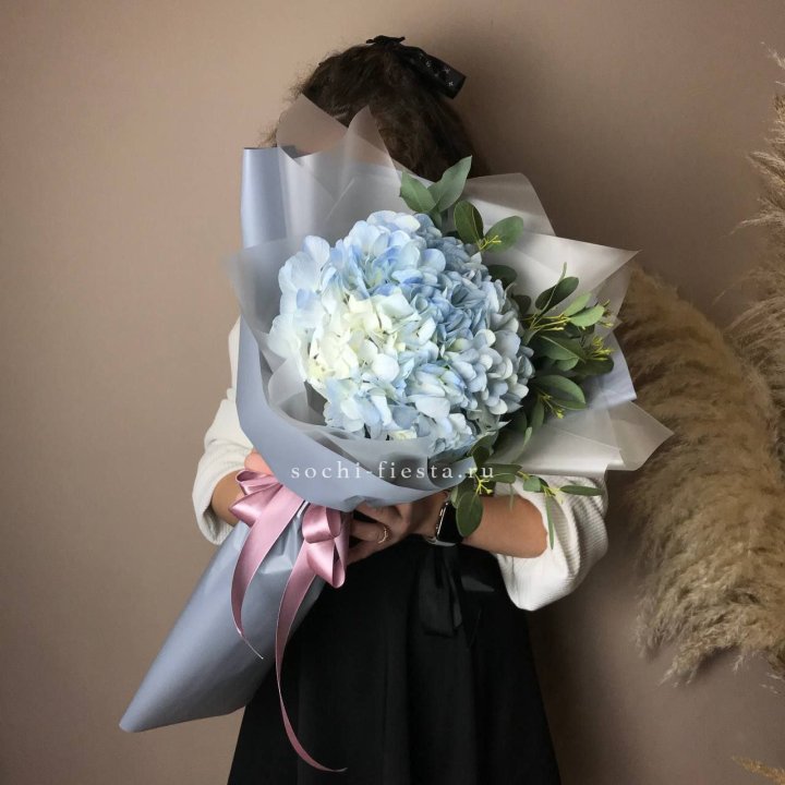 Гортензия Уно в Старом Осколе