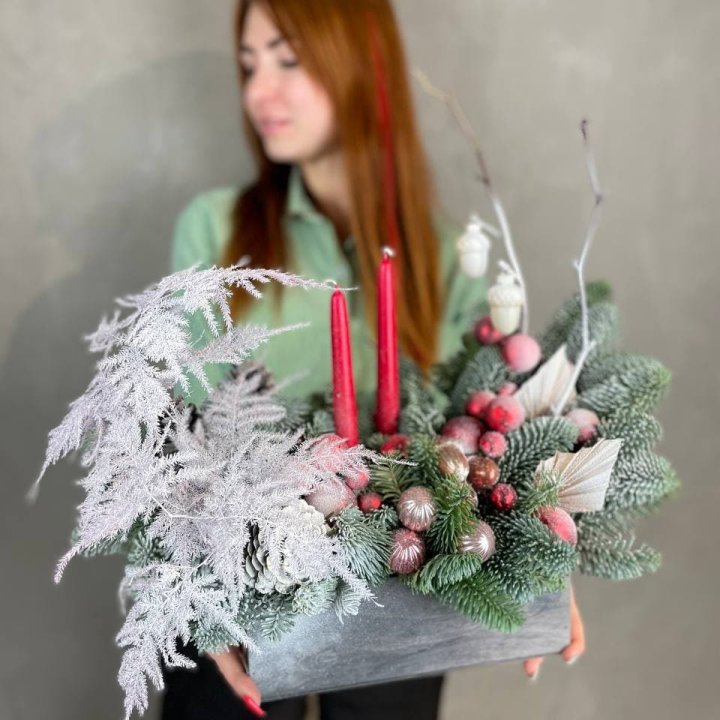 Бокс красный с нобилисом в Старом Осколе