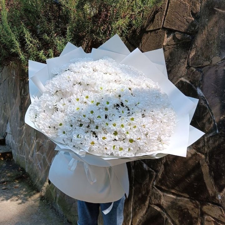 Облако хризантем №2 в Старом Осколе