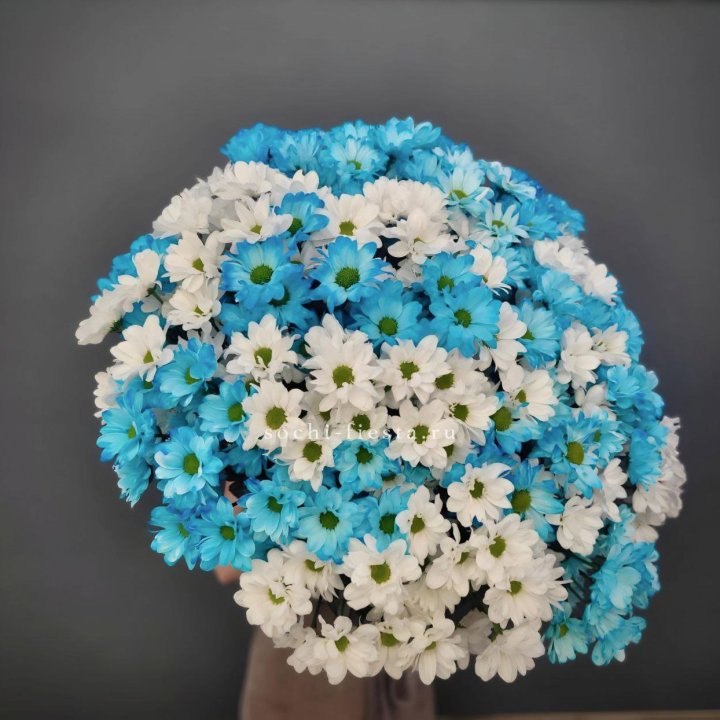  Букет хризантем микс в Старом Осколе