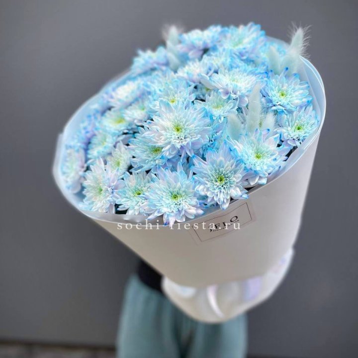  Букет нежно-голубых хризантем  в Старом Осколе