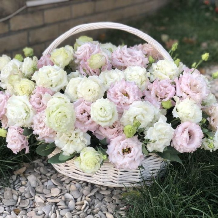 Корзина с эустомой в Старом Осколе