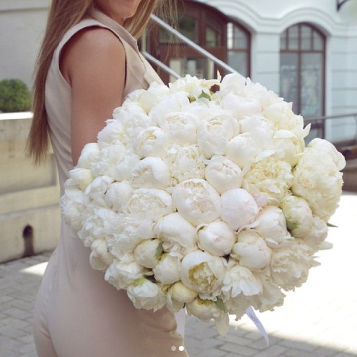 51 белый пион в Старом Осколе