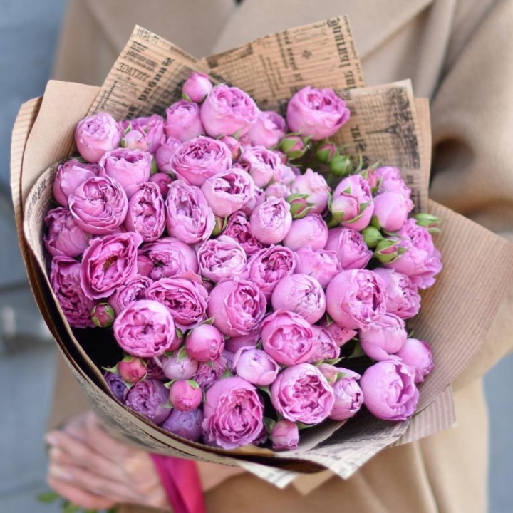 Роза Мисти Баблс в Старом Осколе