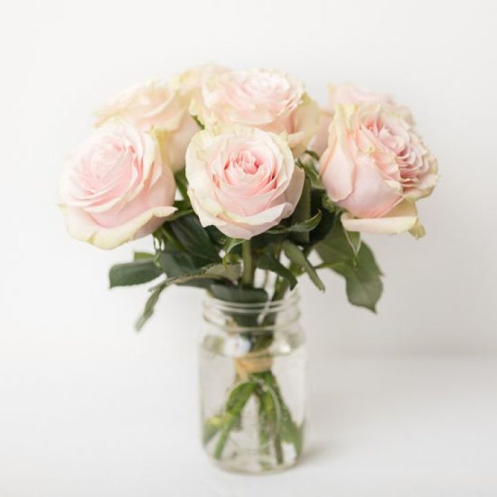 7 кремовых роз в Старом Осколе