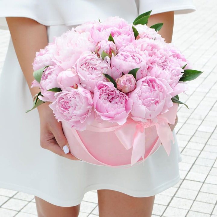 Пионы в шляпной коробке в Старом Осколе