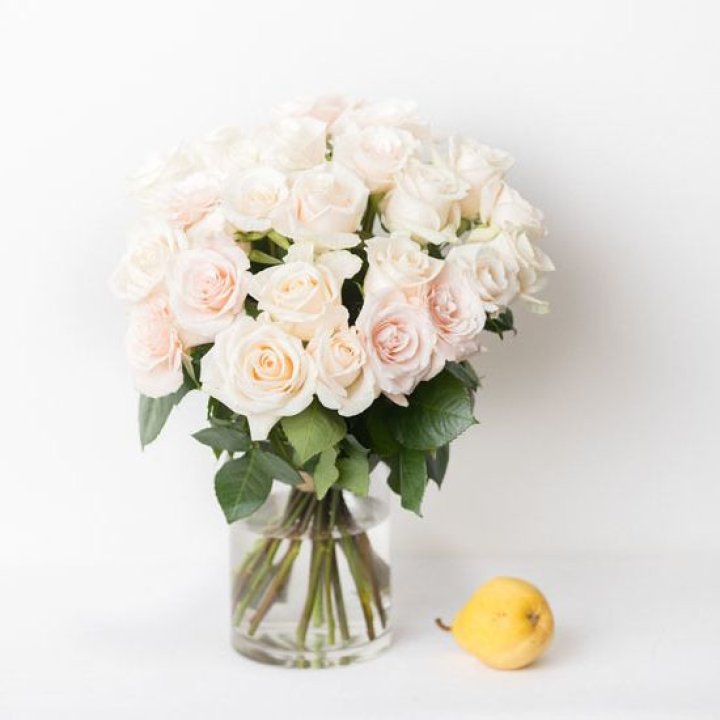 25 кремовых роз в Старом Осколе