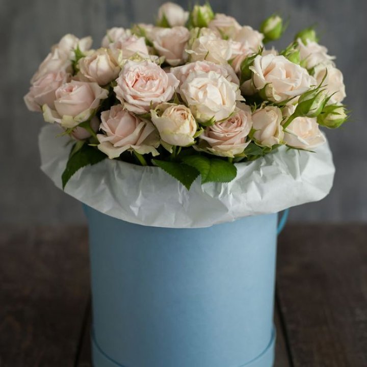 Бокс с бомбастиком в Старом Осколе