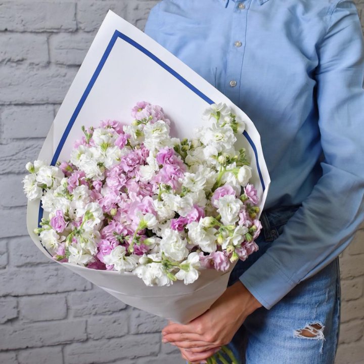 Маттиола в Старом Осколе