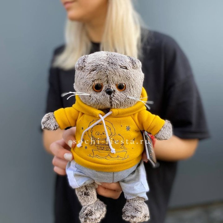 Кот Басик в худи в Старом Осколе