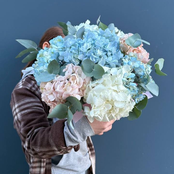 Гортензии в коробочке в Старом Осколе